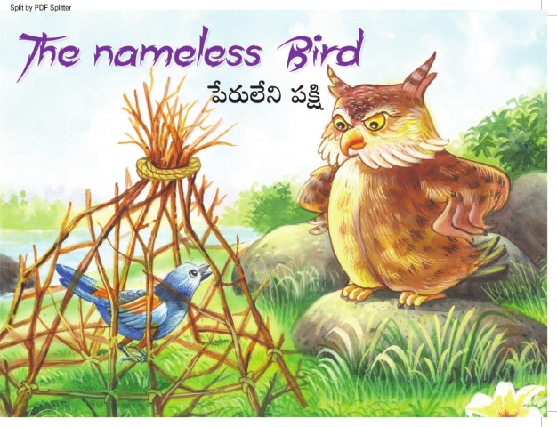 The nameless Bird